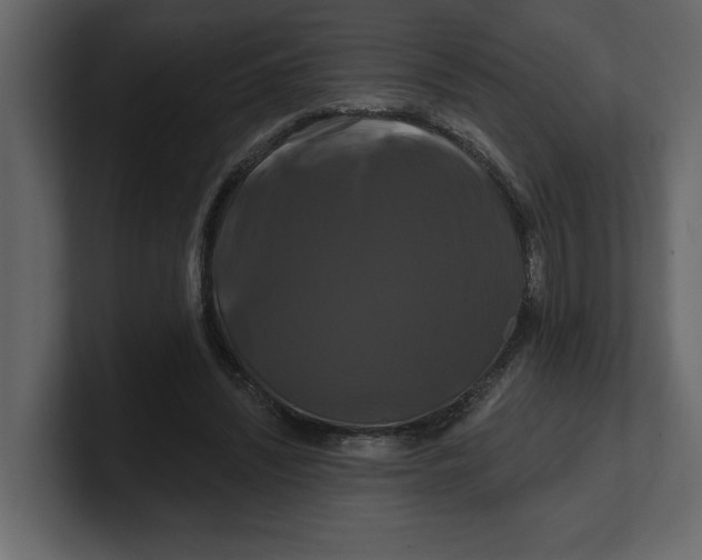 X0000100920444200807151225