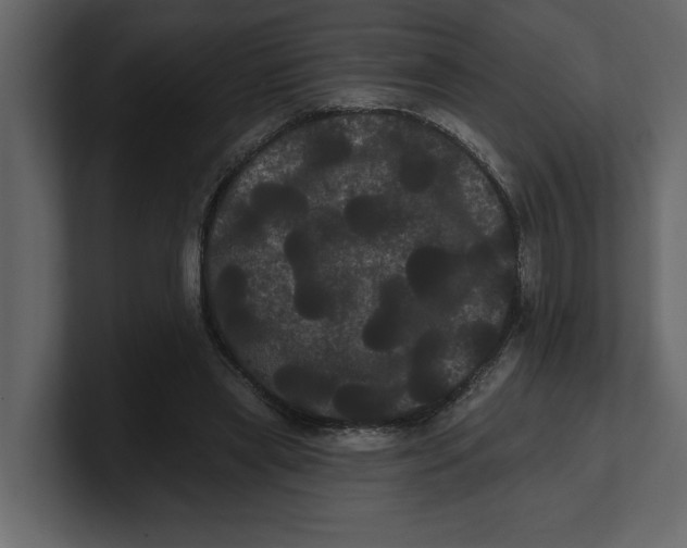 X0000100920445200807151225