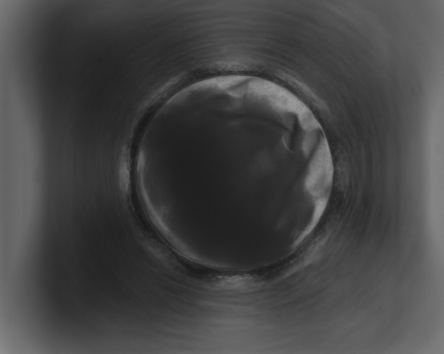 X0000100920446200807151225