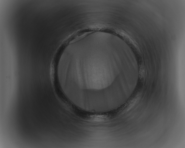 X0000100920448200807151225