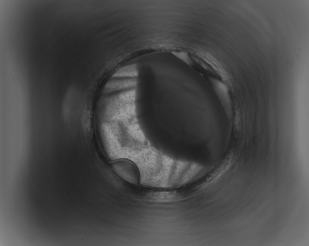 X0000100920449200807151225