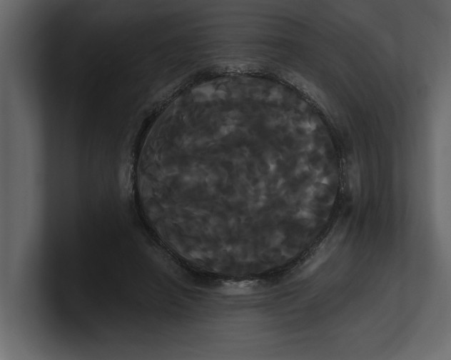 X0000100920450200807151225