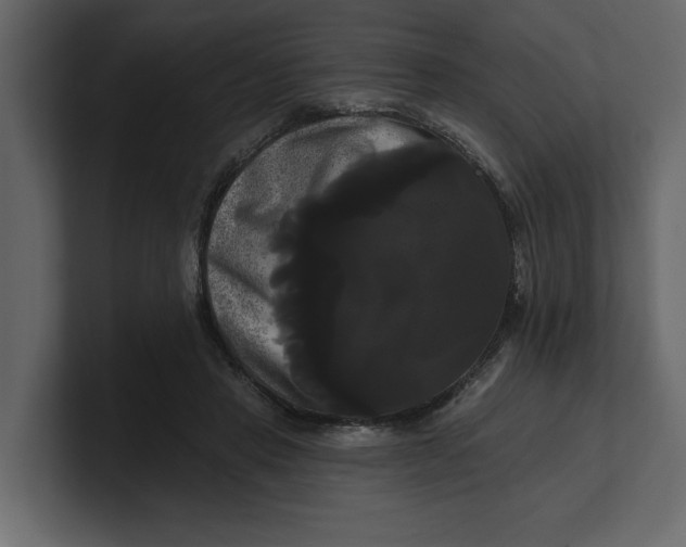 X0000100920453200807151226