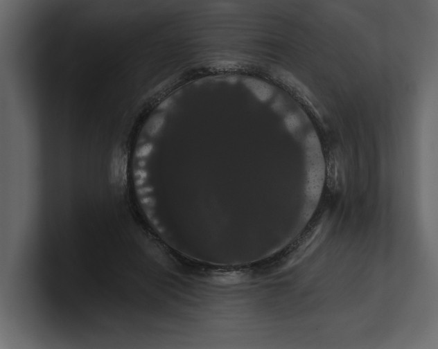 X0000100920454200807151226