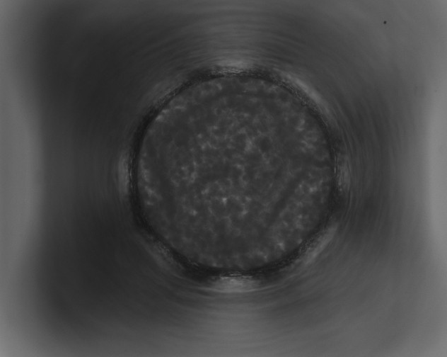 X0000100920455200807151226