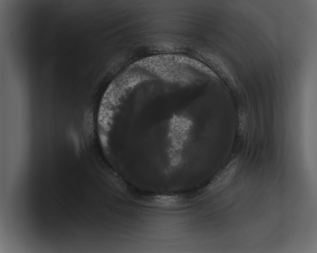 X0000100920457200807151226