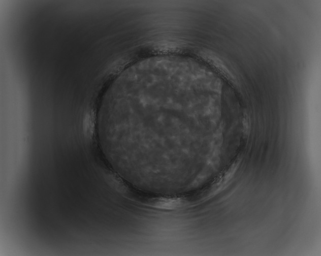 X0000100920458200807151226