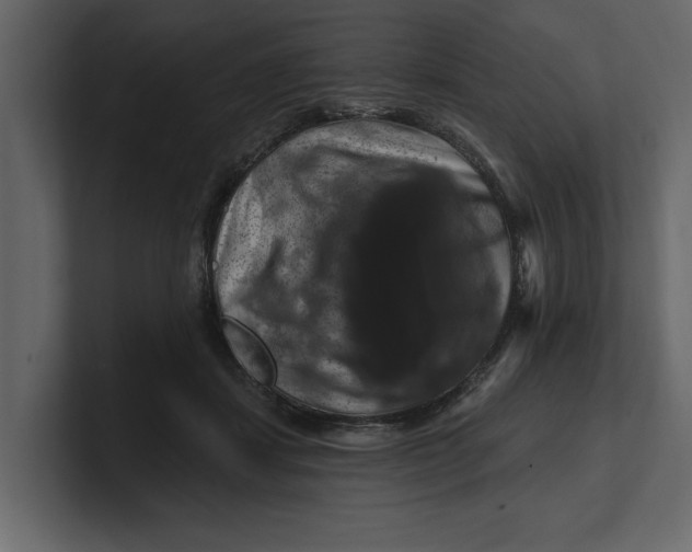X0000100920459200807151226