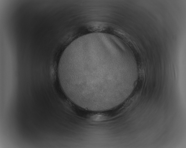 X0000100920460200807151226