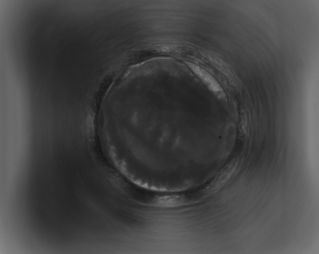 X0000100920461200807151226