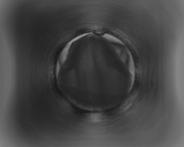 X0000100920462200807151226