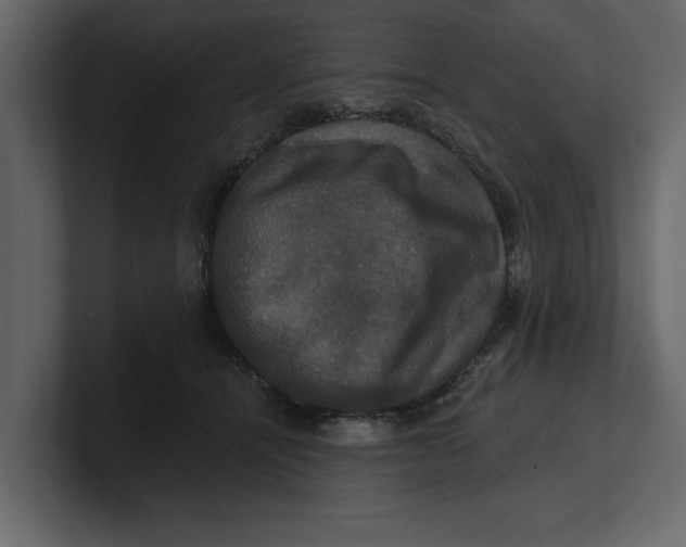 X0000100920464200807151226