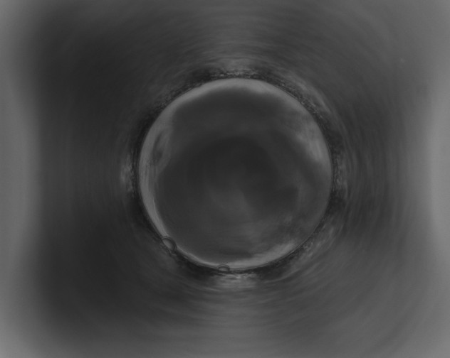 X0000100920465200807151226