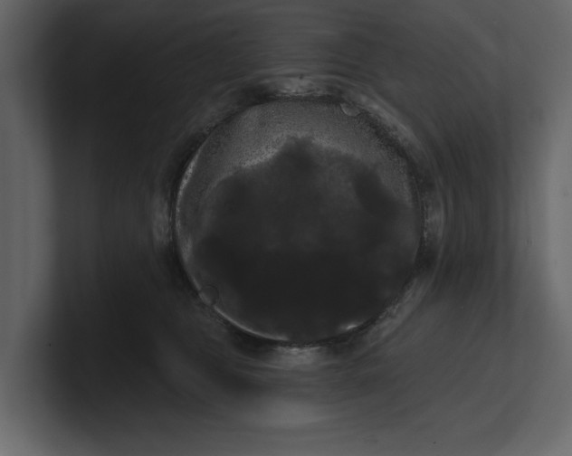 X0000100920469200807151226