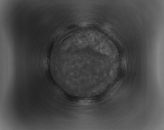 X0000100920470200807151226
