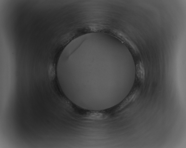 X0000100920471200807151226