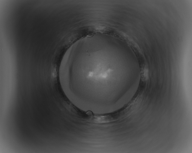 X0000100920472200807151226
