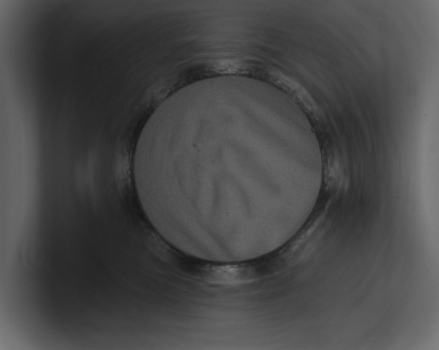 X0000100920473200807151226