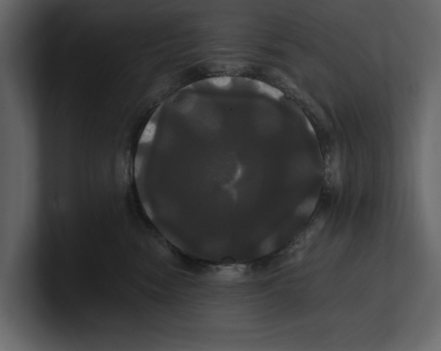 X0000100920474200807151226