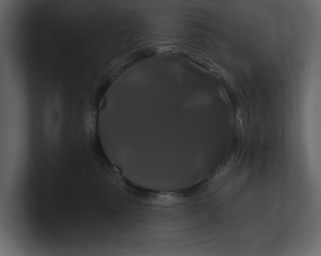 X0000100920475200807151226