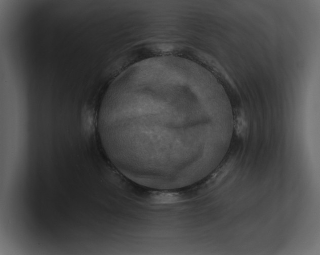 X0000100920476200807151226