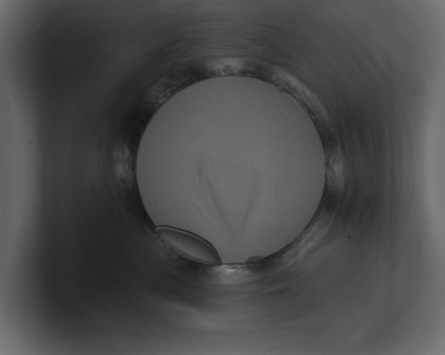 X0000100920477200807151226