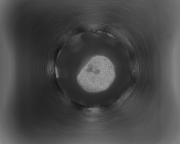 X0000100920478200807151226