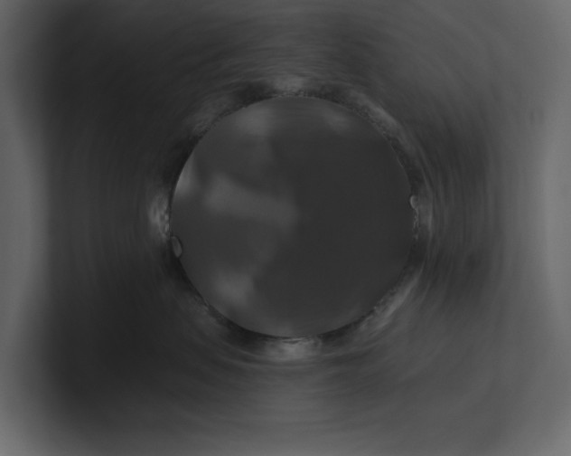 X0000100920479200807151226
