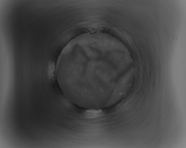 X0000100920480200807151226