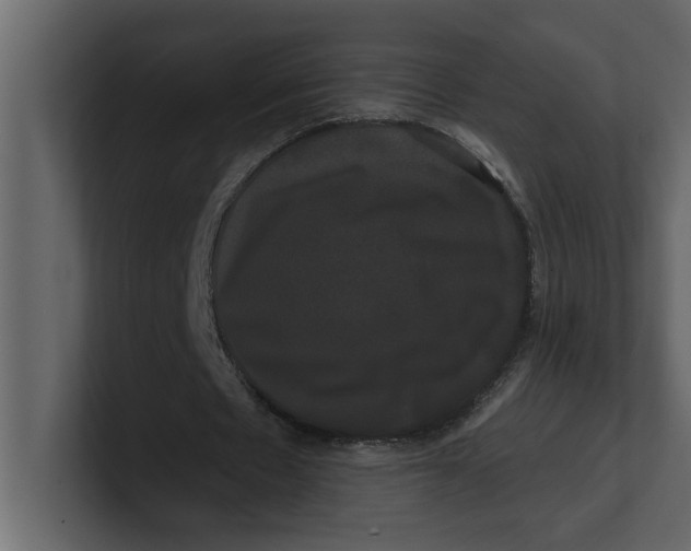 X0000100920481200807151225