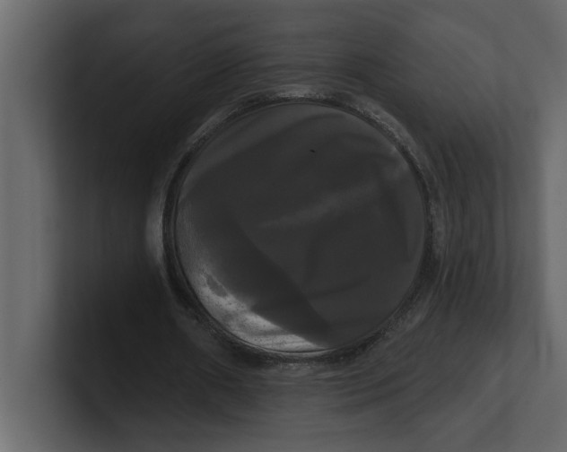 X0000100920482200807151225