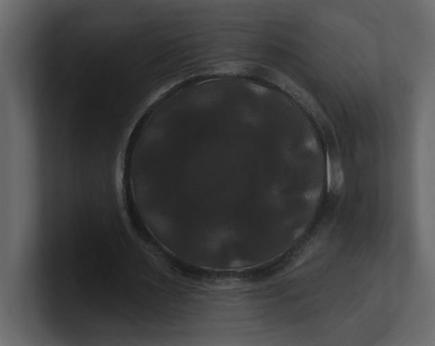X0000100920483200807151225