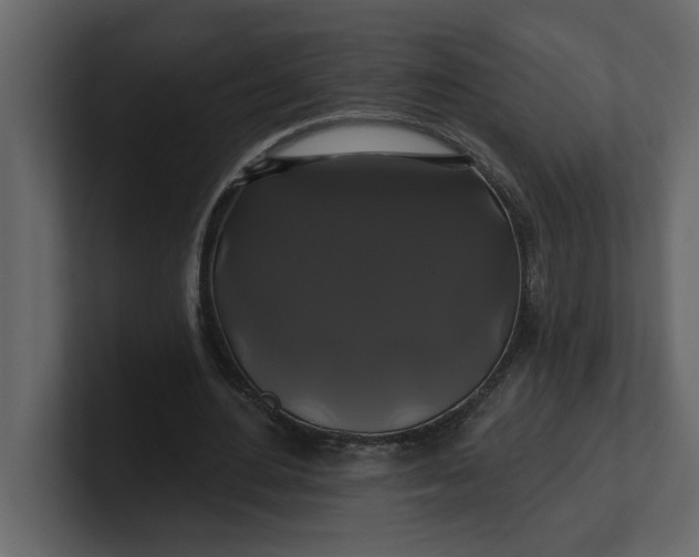 X0000100920484200807151225