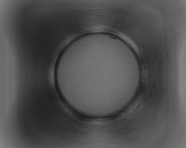 X0000100920485200807151225