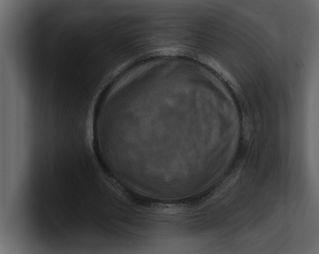 X0000100920486200807151225
