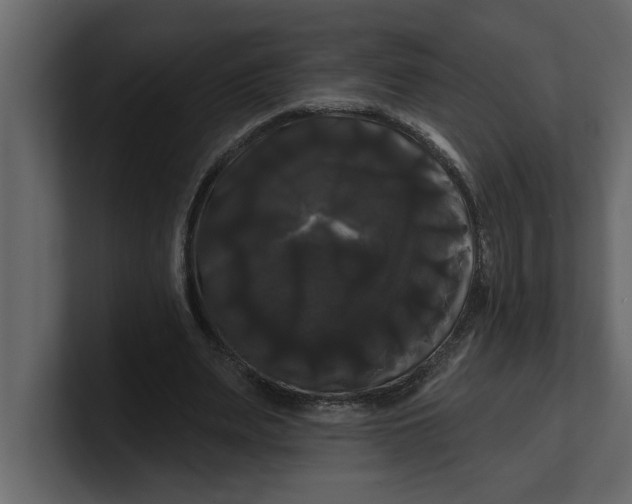 X0000100920487200807151225