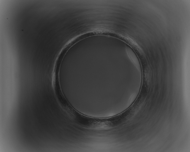 X0000100920488200807151225