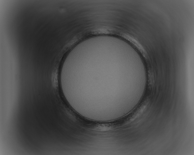 X0000100920489200807151225