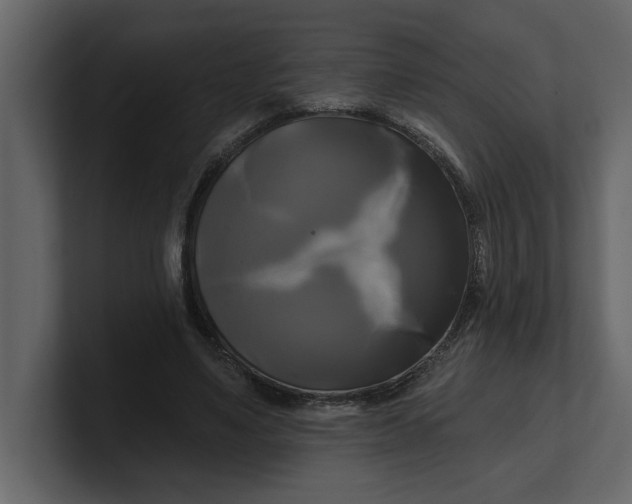 X0000100920491200807151225
