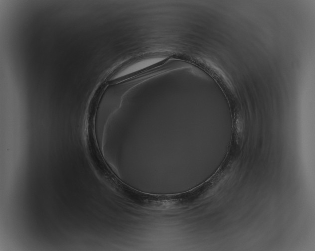 X0000100920492200807151225
