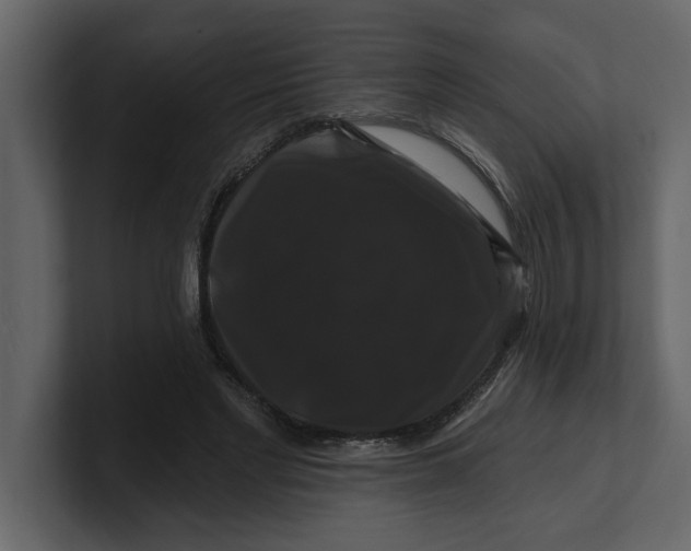 X0000100920493200807151225