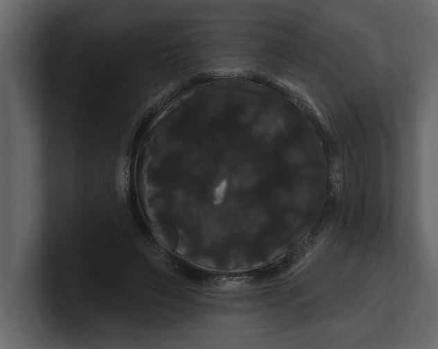 X0000100920495200807151225