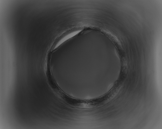 X0000100920496200807151225
