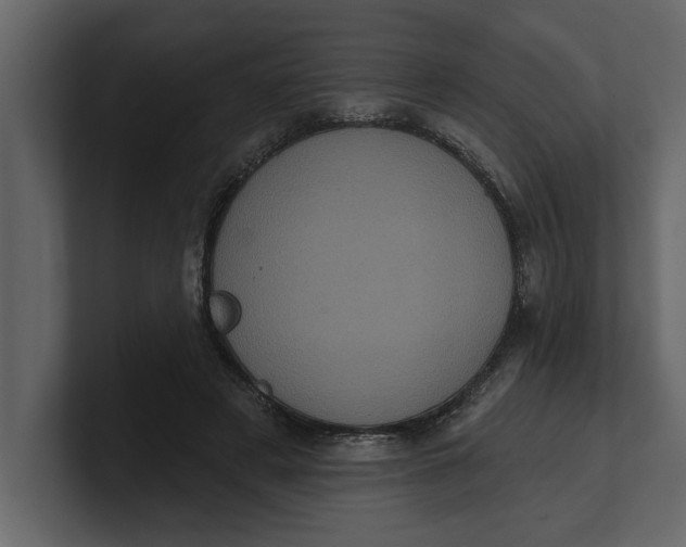 X0000100920497200807151225