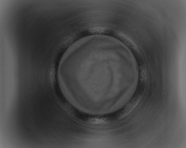 X0000100920498200807151225