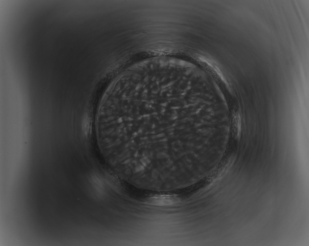X0000100920499200807151225