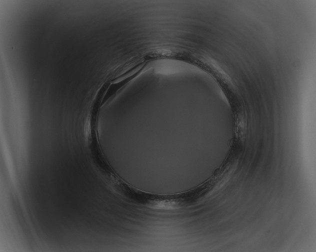 X0000100920500200807151225