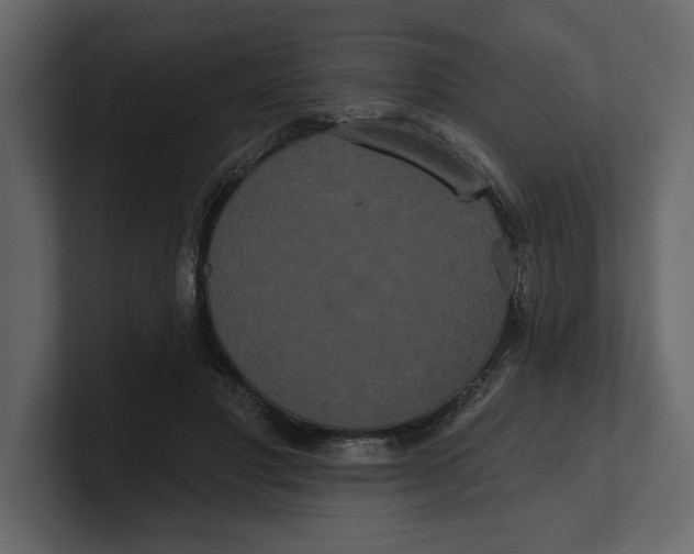 X0000100920501200807151225