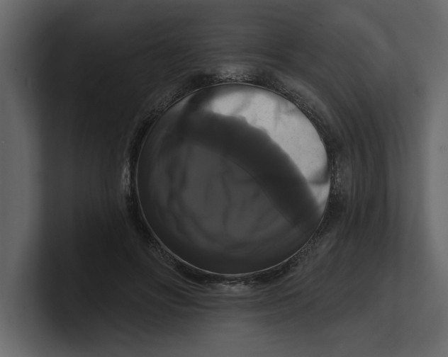 X0000100920502200807151225