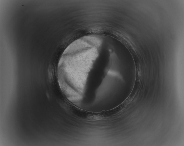 X0000100920503200807151225